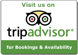 TripAdvisor Bookings & Availability